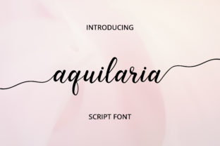 Aquilaria: A Font That Elevates Your Brand