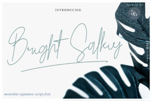 Bright Salkiy: A Magical Script Font