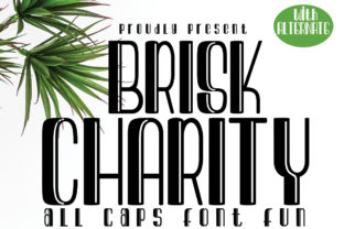 Brisk Charity: A Friendly Font for Creative Projects