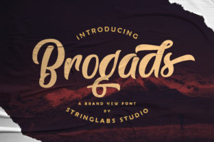 Brogads: A Magical Script Font