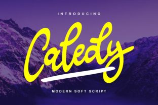 Caledy: A Script Font for Modern Web Design