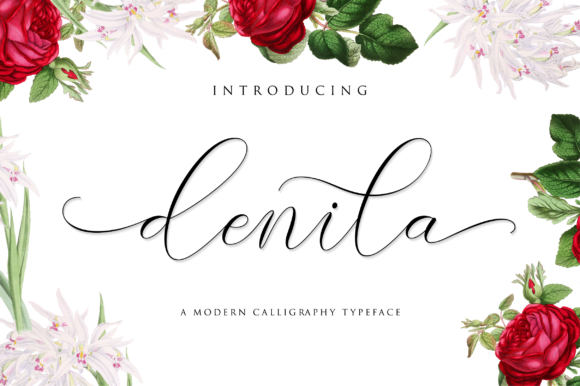 Denila: A Modern Calligraphy Font
