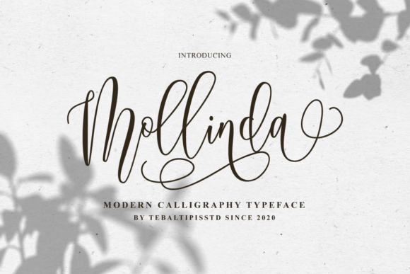 Mollinda: A Stylish Script Font for Marketers