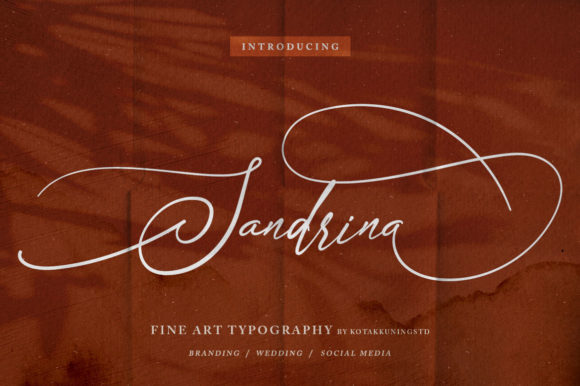 Sandrina: A Script Font for Creative Campaigns