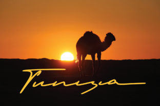 Tunisia Font: Elegant Script for Business