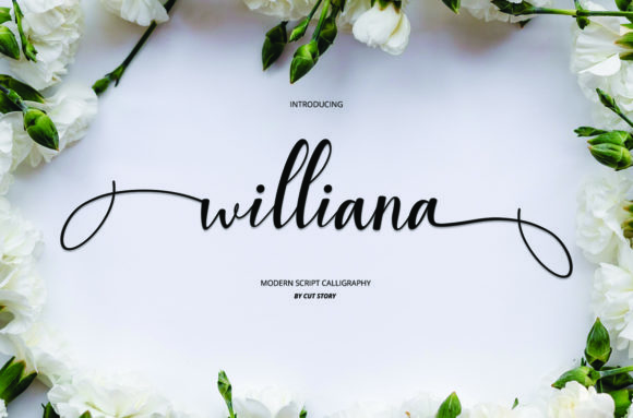 Williana: A Fresh Script Font for Modern Campaigns