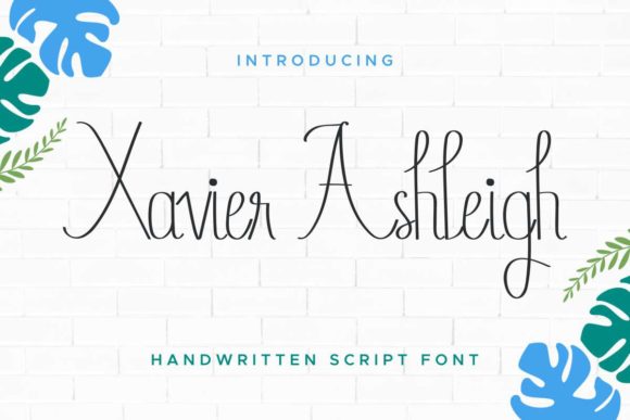 Xavier Ashleigh Font Review